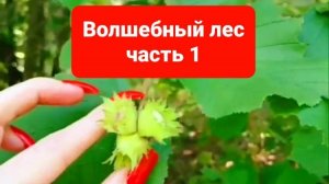 Наслаждайтесь природой