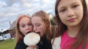 пельмени с фреш баром