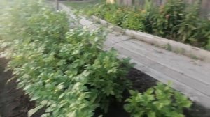 деревня,