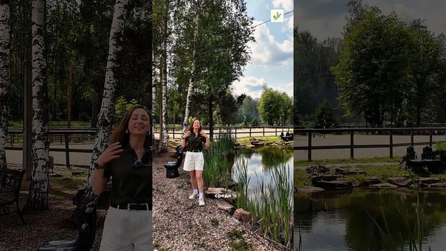 Конный спорт рядом с домом? Легко! 🐴🌳