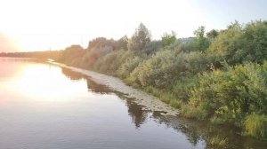 #сезонконтентаRUTUBE

Вечерняя прогулка....