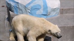 Герда знает когда надо проснуться, ведь сейчас привезут живую рыбу 10.07.2025