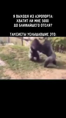 Клип @mem1001