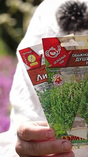 Выращивайте ТИМЬЯН 🌱🌱🌱