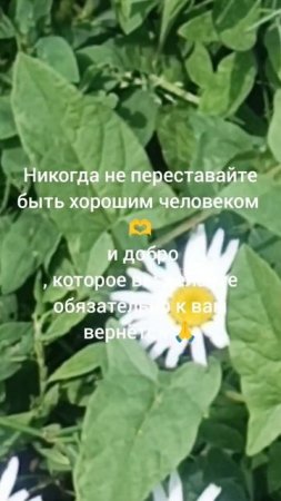добрые дела🫶