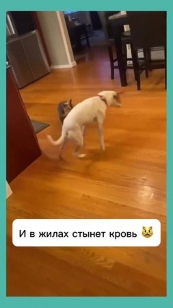 Тактика бесконтактного боя