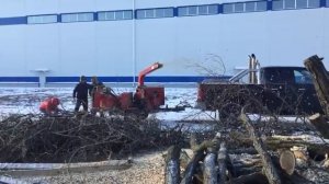 Дробление веток деревьев в щепу - LiWood