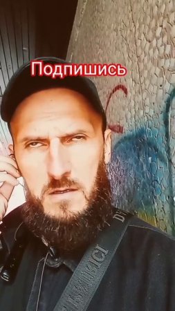 мой любимы подписчики