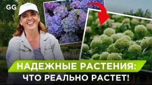 Почему ваши растения не выживают зимой и ЧТО посадить вместо них