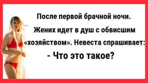 После первой брачной ночи. Новые Анекдоты! Свежие Анекдоты! Юмор! Смешные анекдоты!