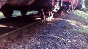 SV_A0038.mp4