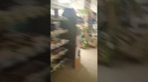Смотри что покажу