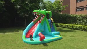 Надувной батут Happy Hop "Крокодил" арт. 9240