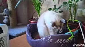 У СОНИ СЕГОДНЯ ХОРОШЕЕ НАСТРОЕНИЕ. НЕЧАСТО ТАКОЕ БЫВАЕТ