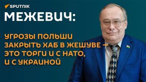 Межевич: угрозы Польши закрыть хаб в Жешуве - это торги и с НАТО, и с Украиной