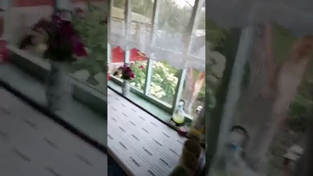 Репортаж с дачи от мужа! 😂