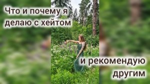 Что и почему делаю я с прилетающим хейтом и рекомендую другим блогерам