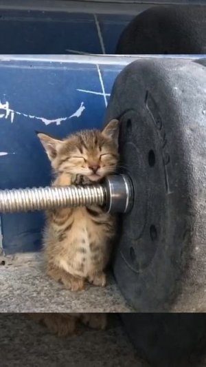 )))))