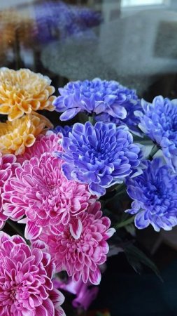 Солнечного настроения!!!))) 🌈🌈🌈 #красота #цветы #букет