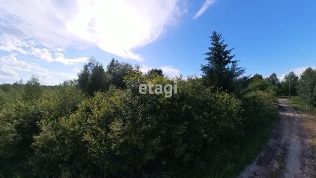 9016356, 9016614