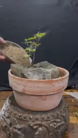 Иногда увидишь такое и подумаешь – слава Богу, что не родился японцем 😂

Хорошего дня!