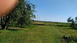 Новополянье! Жара! Отпуск заканчивается!