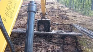 Прогулка по болоту на сланях.