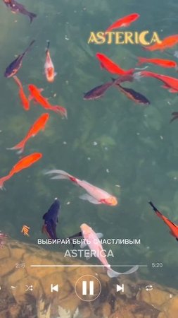 ЗАЧЕМ выбирать что-то одно❓