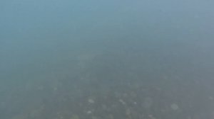 В море с головой