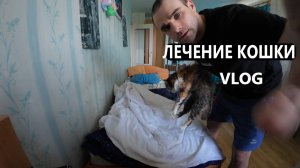 ЛЕЧЕНИЕ КОШКИ / МЯУРИЦЦИО / VLOG / 10. 07. 2025