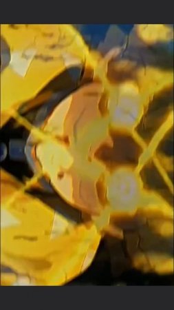 2025-07-10