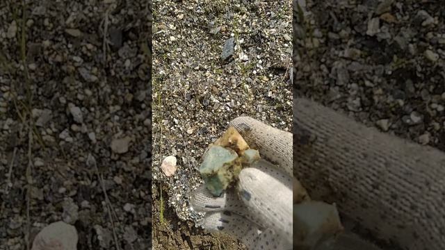 Голубой апатит 💎 в жёлтом кальците 💛 - Классика Слюдянки! - Апатитовый раскоп. 2025.07.09