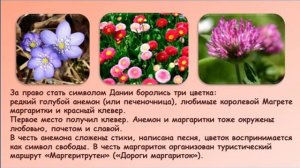 Дания