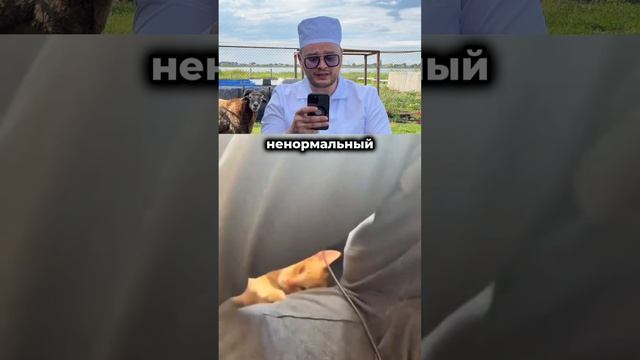 Чего только не придумают люди…
