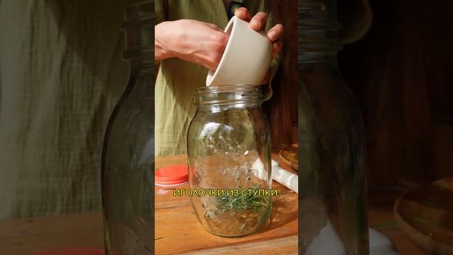 Готовлю ферментированные сосновые иголки для ЦЕЛЕБНОГО ЧАЯ