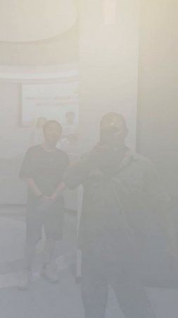 Электронная тонировка