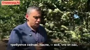 Мама пятилетнего Толи, погибшего из-за атаки ВСУ на Курск, в тяжёлом состоянии, ей трудно ходить.