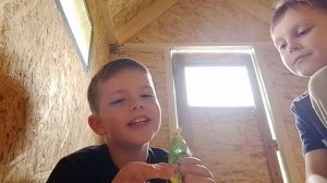 пробуем дубайский шоколад