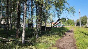 8 июля на Ярославль обрушился страшный ураган и гроза.