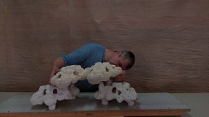 КДПЛ-2 Декорация из биокерамики , для морского аквариума.