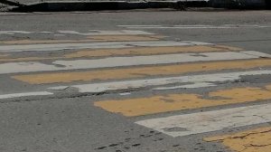 10.07.25.Усадьба Парк Кино Ляхово! Парк Сибирских Кошек! Домодедово. Обзор проведённых работ. Моско