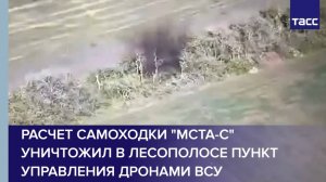 Расчет самоходки "Мста-С" уничтожил в лесополосе пункт управления дронами ВСУ