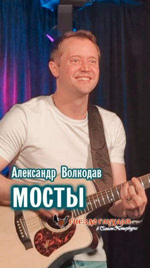 "МОСТЫ" Александр Волкодав - "Гнездо глухаря" Питер 28.06.2025 #александрволкодав #голос #концерт