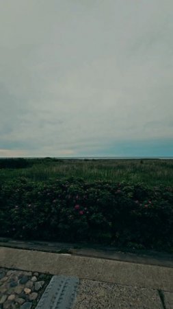 Мемориал "Разорванное кольцо". 40-й км. Дороги Жизни. Блокадный Ленинград. Ладожское озеро