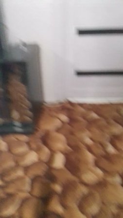 1000025651.mp4
