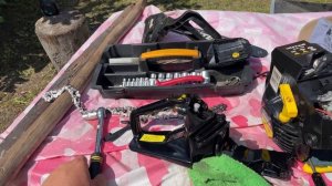 В ДЕРЕВНЕ И В САДУ. В ЛЕСУ ПЕРВЫЕ ГРИБЫ