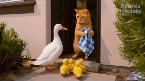 Как котики за утятами присматривали