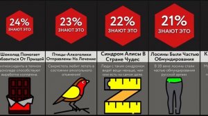 Спорим, Ты Не Знал Эти Необычные Факты !