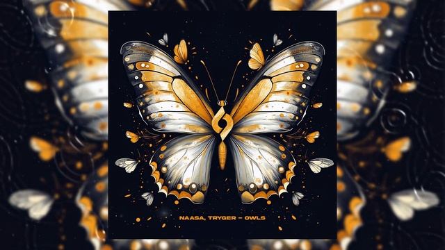 NAASA, Tryger - Owls [Journey of the Soul]