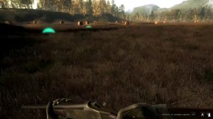 theHunter Classic